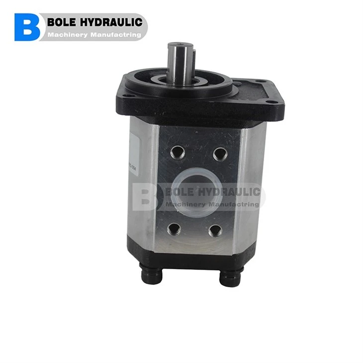 Ronzio 2 Group Gear Pump Z2